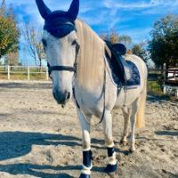 Mezzafida/Trifida Spagnolo