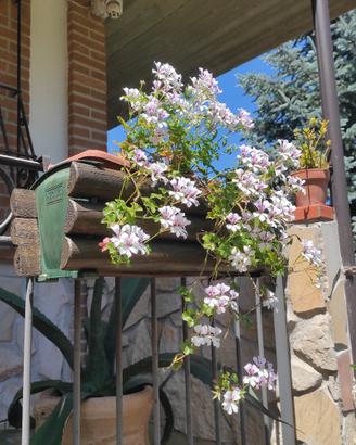 fioriere in legno arcaset 