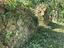 Immagine 5