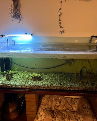 Acquario 300 L