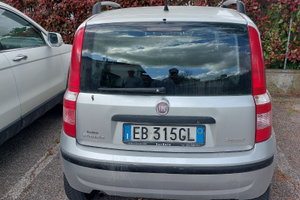 Panda Merdicina benzina