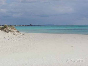 Vista mare torre lapillo   Porto Cesareo