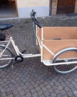 Cargo bike assistita 