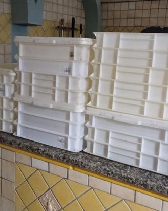 contenitori per impasto pizze