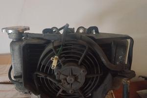 radiatore Honda sh 150