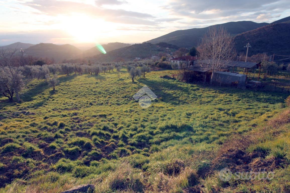 TER. AGRICOLO A MOMPEO - Vista 4