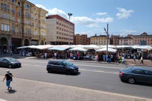 Attività mercato "la piazzola" bologna