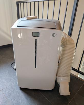 condizionatore portatile pinguino 