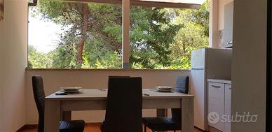 Appartamenti sulla spiaggia a Punta Prosciutto