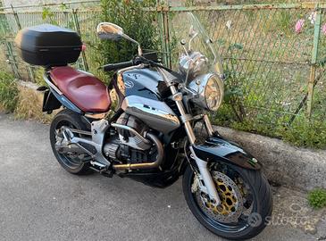 Guzzi Breva 1100