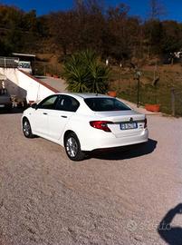 tenuta maniacalmente 