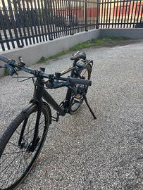 bicicletta pedalata assistita 