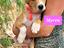 Immagine 4