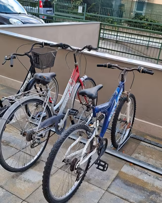 biciclette donna e mtb