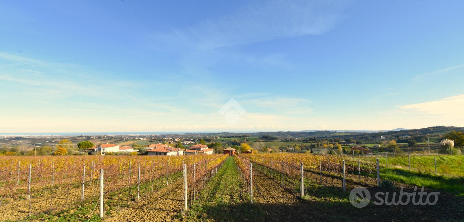 House in Monte Colombo, Croce - Altro