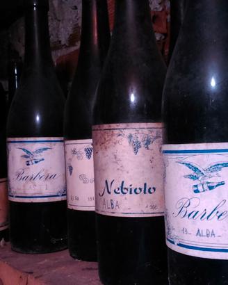 Vino rosso stravecchio (per esposizione)