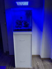 Acquario marino Malberti 100lt, vasca completa
