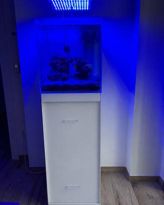 Acquario marino Malberti 100lt, vasca completa