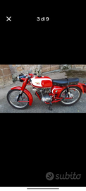 Moto Morini