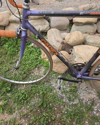 bicicletta vintage