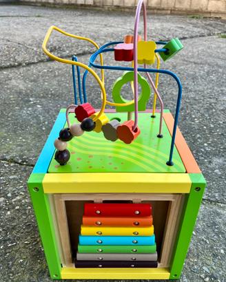 Cubo multiattività