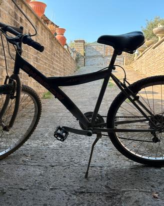 bicicletta