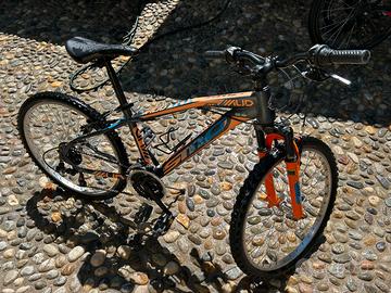 Mountain bike 24