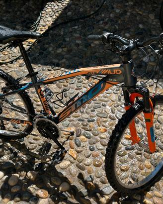 Mountain bike 24