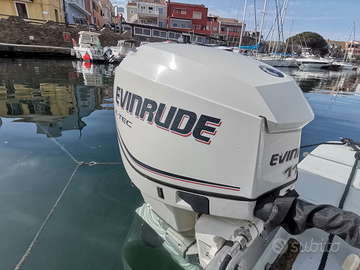Motore fuoribordo Evinrude E-tec 115