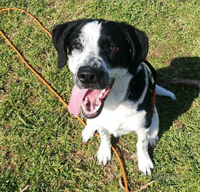 REZ, maschio di 5 anni