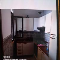 Libero a orgo San Basilio _Pisticci da 26 luglio