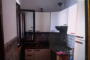 Libero a orgo San Basilio _Pisticci da 26 luglio