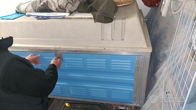 carrello trasporto cani