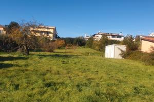 Terreno edificabile 1600 m2 Cesano di Roma