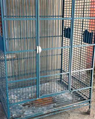 Voliera piccola gabbia gabbietta