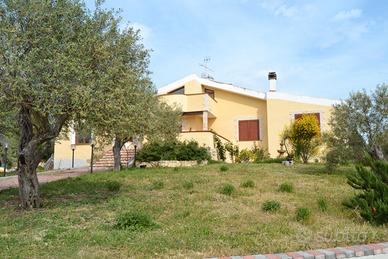 Villa immersa nel verde