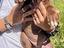 Immagine 2