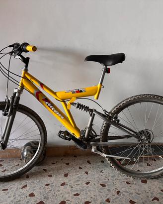 mountain bike