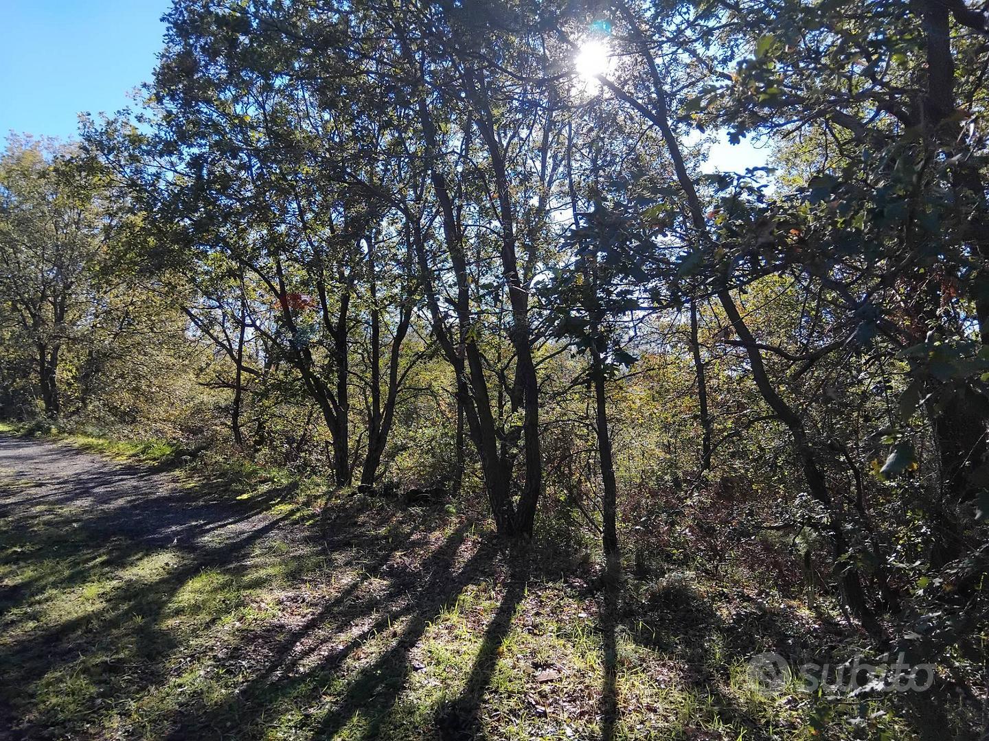 Terreno - Ragalna - Vista 3