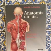 Libro Anatomia Umana Piccin