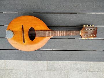 mandolino 