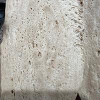 Starter pasta madre campione naturale esperimento