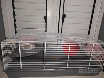 gabbia criceto 