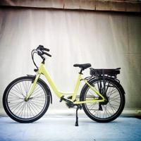 Bicicletta Elettrica 