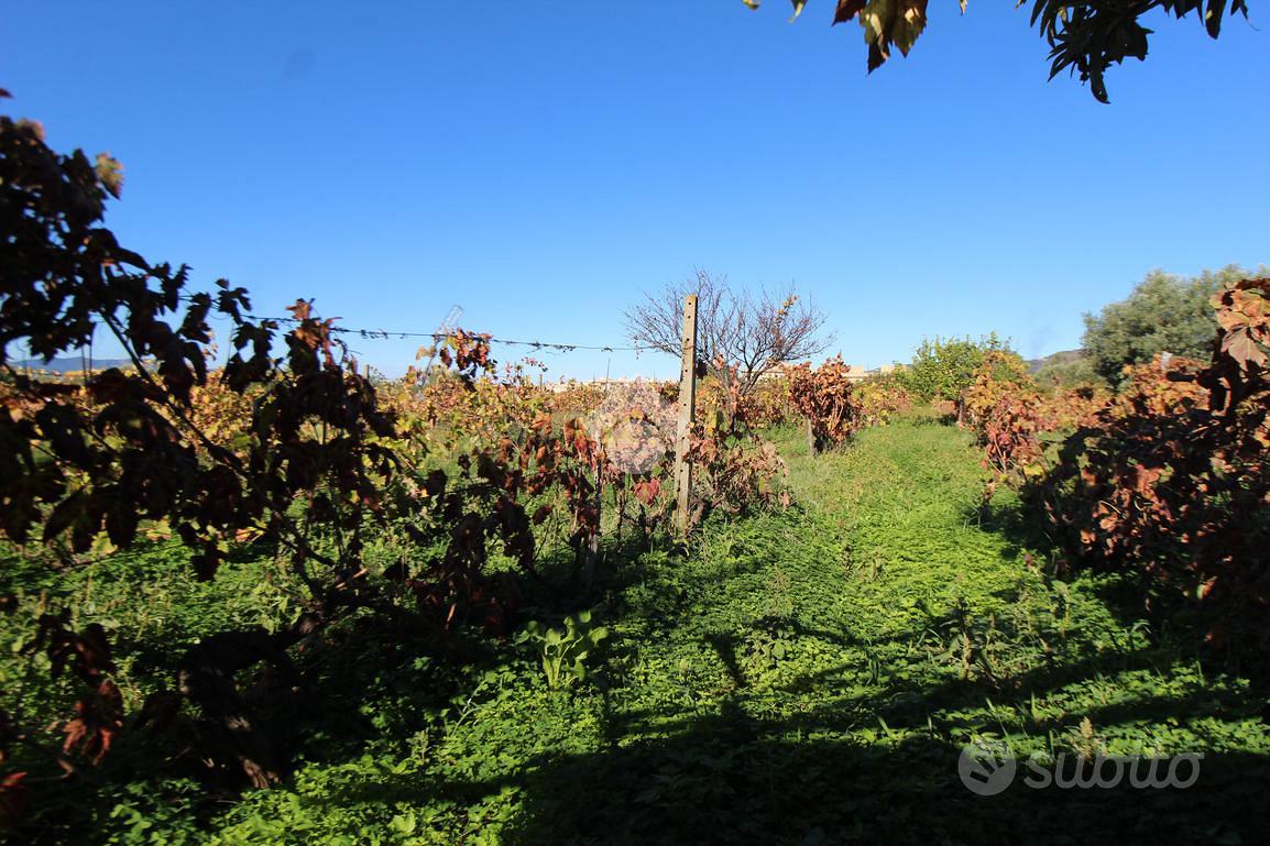 TER. AGRICOLO A REGGIO DI CALABRIA - Vista 3