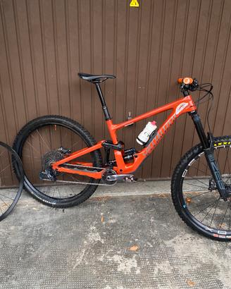 Specialized COMP S3