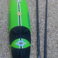 Windsurf Fanatic BEE 264