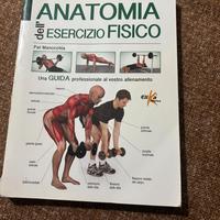 Anatomia Dell'esercizio Fisico