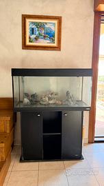 Acquario