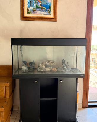 Acquario